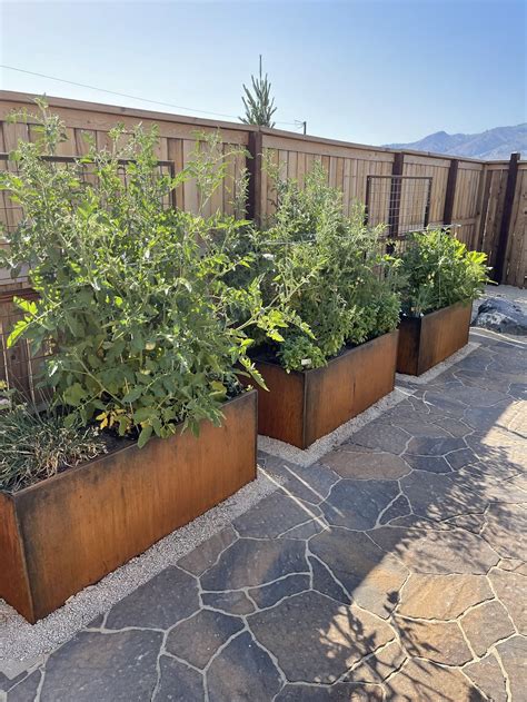 corten steel planter box too hot for plants|corten steel how long to grow.